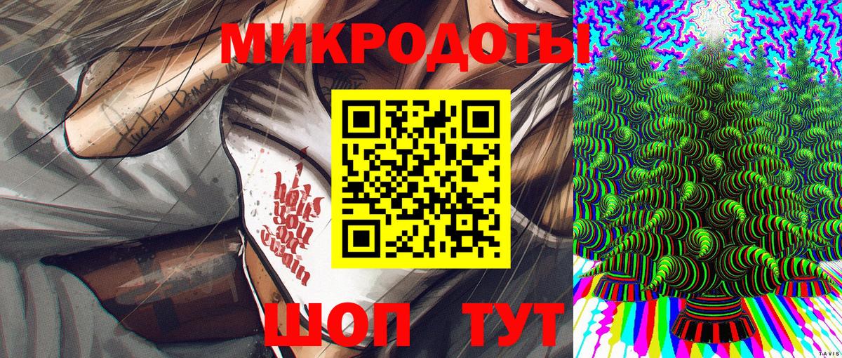 Гатчина  Псилоцибиновые грибы Psilocybe  Вход с VPN  Галлюциногенные грибы Psilocybe 
